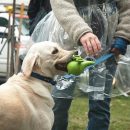 Cool Occupy Toronto images