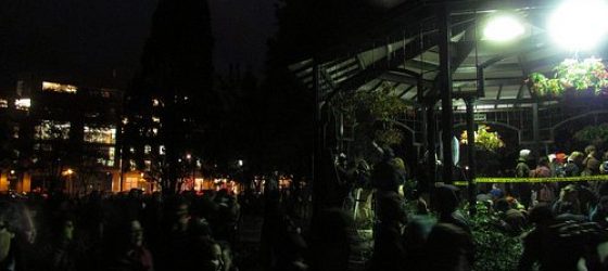 Cool Occupy Toronto images