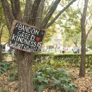 Great Occupy Toronto images