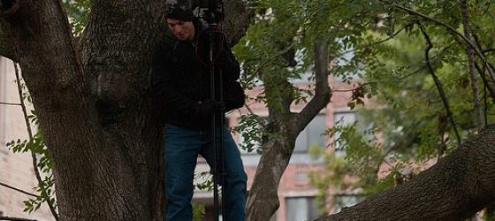 More  Occupy Toronto photos