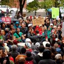 Nice Occupy Toronto photos